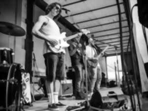 photo Concert One Eyed Octopus
