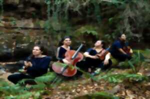 photo Concert I Akilone