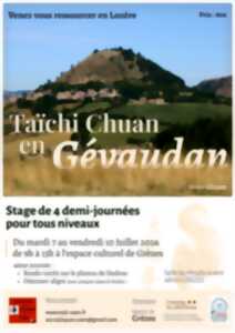 photo TAICHI CHUAN EN GÉVAUDAN