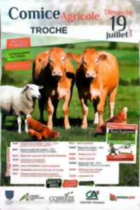 photo Comice agricole
