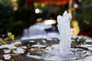 photo Conférence : Mémoire de l'eau