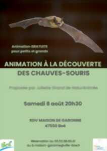 photo A la découverte des chauves-souris