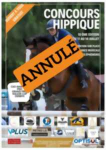 photo 10° édition Jumping d'été - Concours hippique
