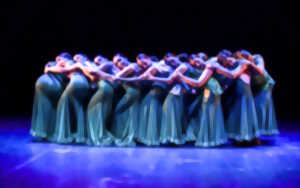 photo Danse : Las Flamencas de Catalina