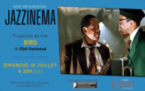 photo Ciné-club estival 