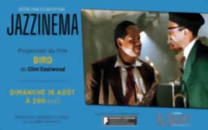 photo Ciné-club estival 
