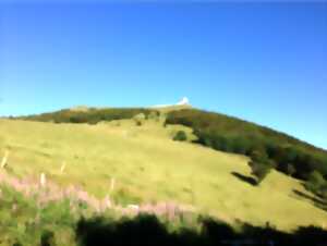 photo Flore du Grand Ballon et visite d’une ferme auberge avec dégustation
