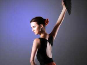 photo Spectacle Flamenco Tablao
