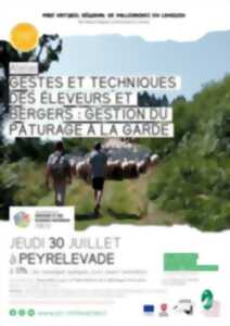 photo Gestes et techniques des éleveurs et bergers : gestion du pâturage à la garde