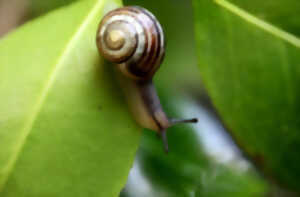 photo Les 24h de la biodiversité