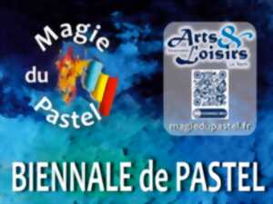 photo Biennale de pastel
