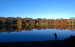 photo Exposition : Arranoen Begia expose