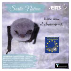 photo Les estivales de la nature : Trame noire et chauves-souris