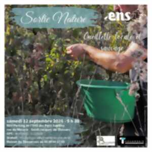 photo Cueillette locale et sauvage