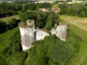 photo Visite des ruines du château-fort