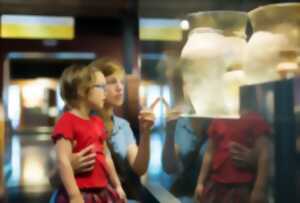 photo Atelier en famille au musée - Opéra de Limoges