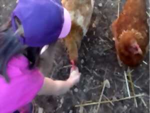 photo Une journée à la ferme