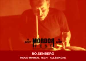 photo BÖ SENBERG EN CONCERT
