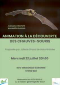 photo A la découverte des chauves-souris