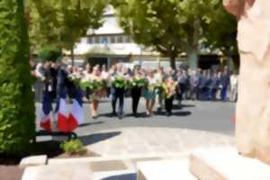 photo 82ème anniversaire de la Libération