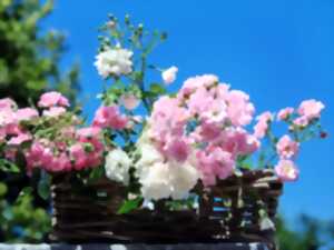 photo Ateliers créatifs fleurs séchées