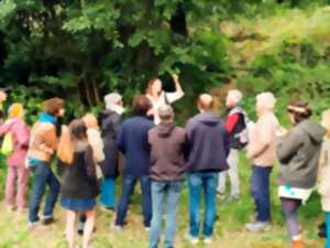 photo Sortie plantes sauvages comestibles