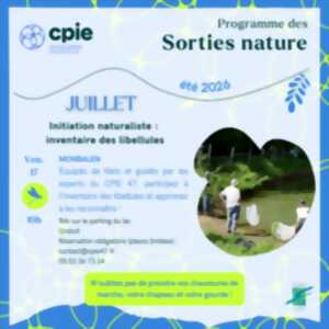 photo Initatiation naturaliste : à la découverte des papillons !