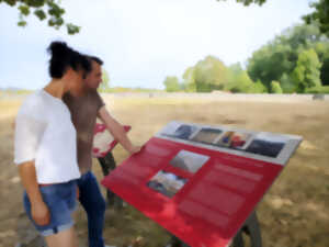 photo Visite guidée de la villa gallo-romaine