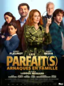 photo Cinéma Gourette : Les parfait(s)