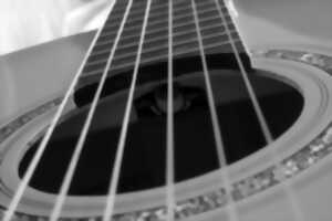 photo Micro’Stival : Guitares