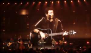 photo Patrick Bruel - Zénith de Limoges