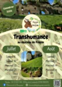 photo Transhumance au Château de Fressin