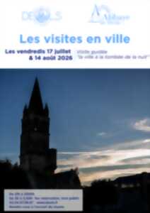 photo Visite guidée de la ville à la tombée de la nuit