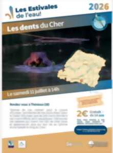 photo Les dents du Cher