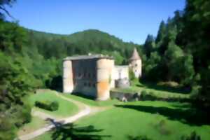 photo PATRIMOINE ET NATURE AU CHATEAU DE ROQUEDOLS