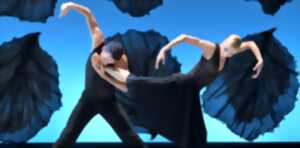 photo MALANDAIN BALLET BIARRITZ