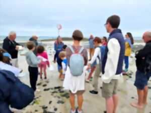 photo Crabes, bigorneaux et compagnie