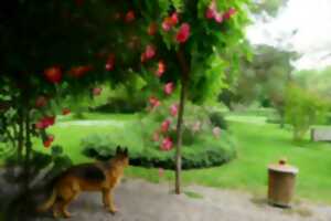 photo JOUR DES ARTISTES AU JARDIN