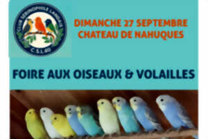 photo Foire aux oiseaux & volailles