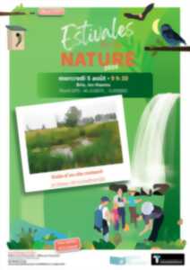 photo LES ESTIVALES DE LA NATURE : Visite d'un site restauré en faveur de la biodiversité
