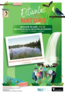 photo LES ESTIVALES DE LA NATURE : Découverte des pollinisateurs, les idées reçues
