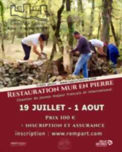 photo Restauration d'un mur en pierre au Château du Coudray-Salbart à Échiré