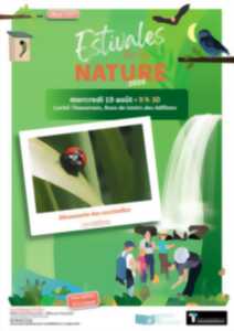 photo LES ESTIVALES DE LA NATURE : Découverte des coccinelles