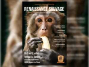 photo Exposition photographique collective 