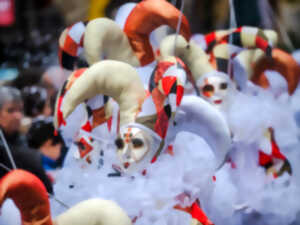 photo CARNAVAL DE LIMOUX 2027 - LAS FEMNAS