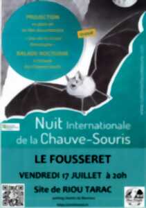 photo NUIT INTERNATIONALE DE LA CHAUVE-SOURIS