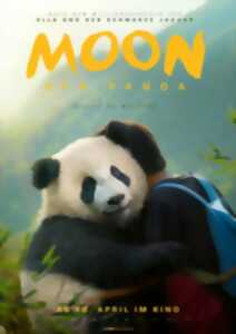 photo Cinéma plein air : Moon le panda