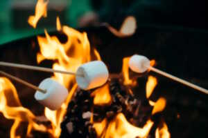 photo Chamallow grillés au camping des Roussilles