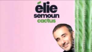 photo Elie Semoun - Box Office Limoges