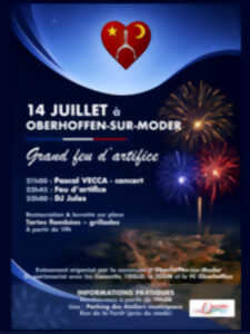 photo Grand feu d'artifice
